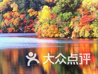 燃烧吧大脑装瓶子游戏
