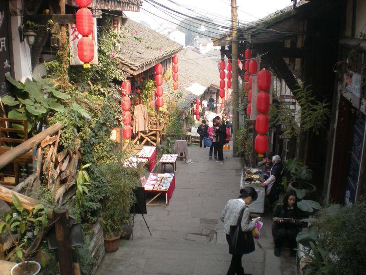 小猪仔要回家