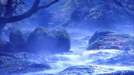 垂丝茉莉能活几年寿命？游戏画面